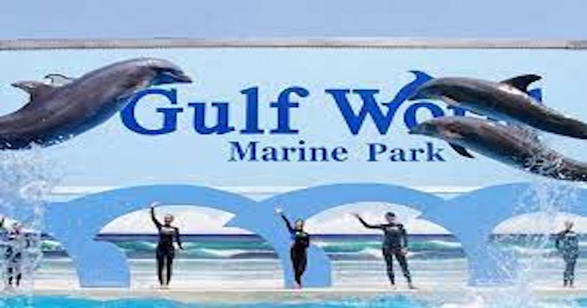 tidewater beach resort Gulf World Marine Park